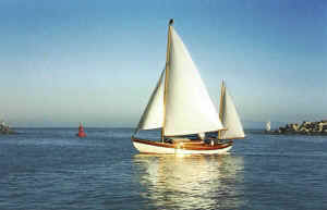 Pic of the Sally